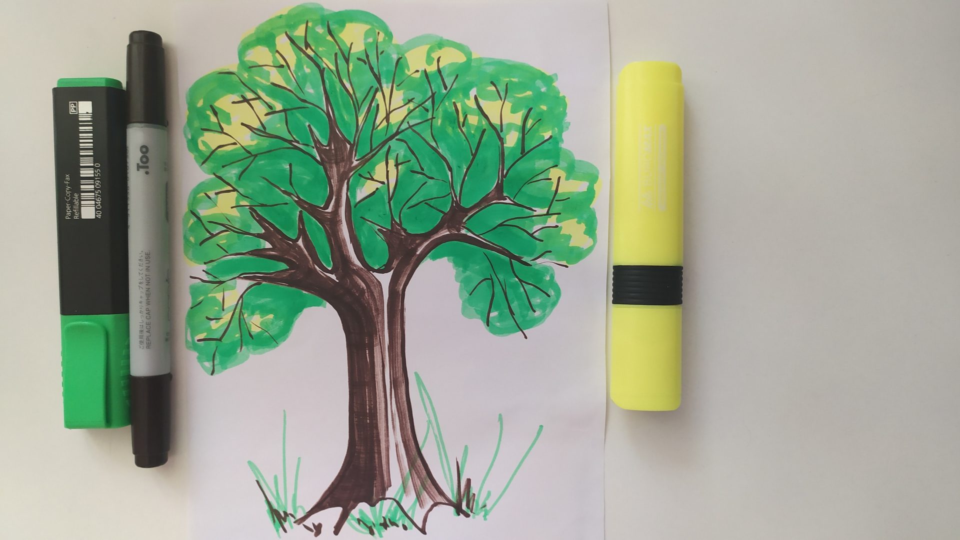 how to draw a tree without leaves