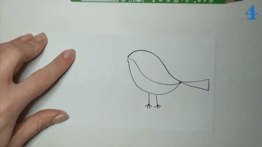 Easy How to Draw a Parrot Tutorial Video and Parrot Coloring Page