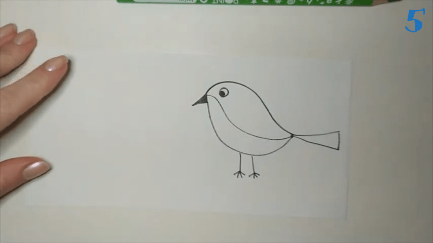 How To Draw Beautiful Bird || Bird Drawing In Easy Way || Draw for  Beginners - YouTube